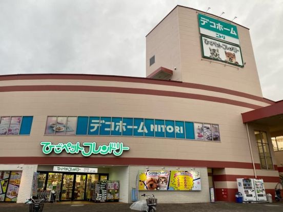ニトリ 【デコホーム】イズミヤ千里丘店の画像