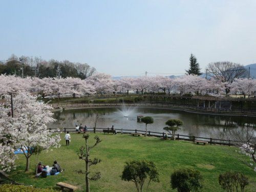 府中公園の画像