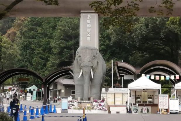 東京都 多摩動物公園の画像