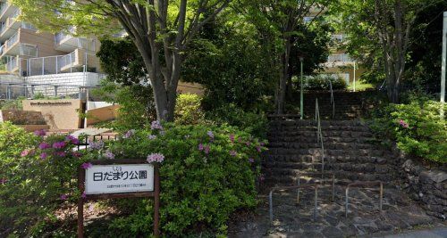 日だまり公園の画像