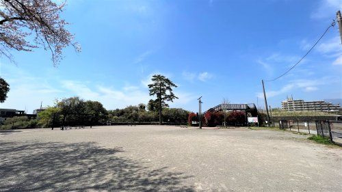 鮎壺広場の画像