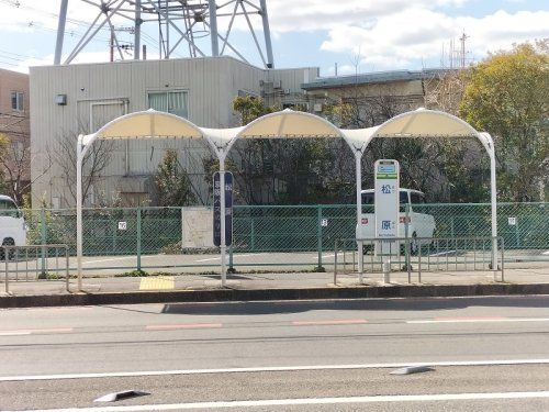 バス停「松原」の画像