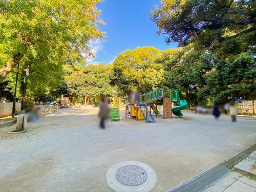 世田谷区立若林公園の画像