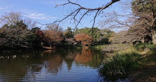 じゅん菜池緑地の画像