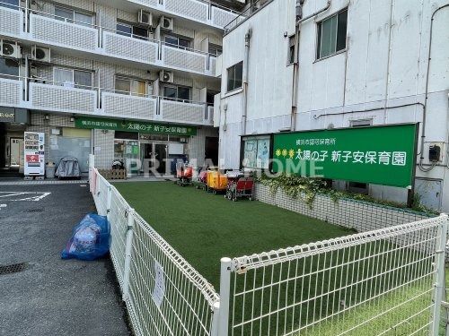 太陽の子新子安保育園の画像