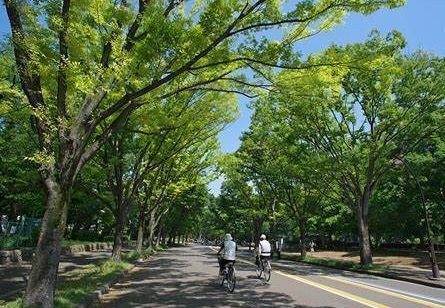 都立駒沢公園西口の画像