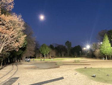 昭和の森ゴルフコースの画像