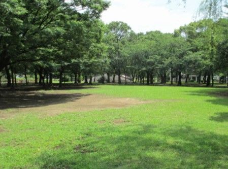 東綾瀬公園多目的運動広場の画像