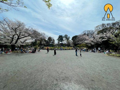 掃部山公園の画像