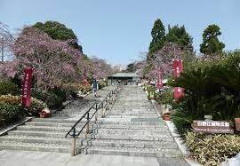 白野江植物公園の画像
