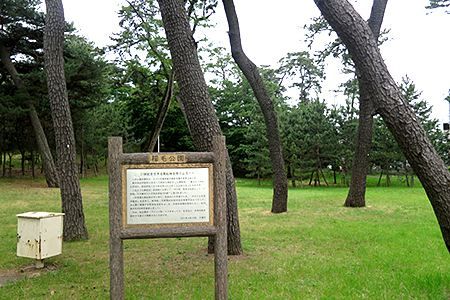 黒砂あおざら公園の画像