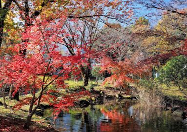 百草台自然公園の画像