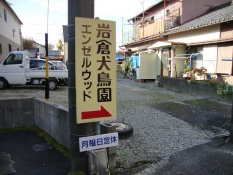 岩倉犬鳥園の画像