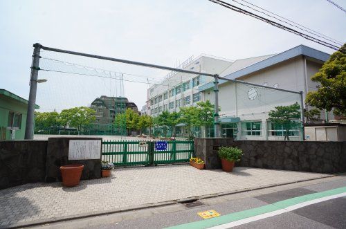 江戸川区立新堀小学校の画像