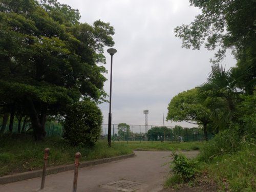 野田公園の画像