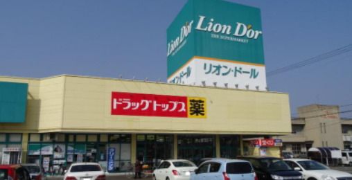 リオンドール　加茂店の画像