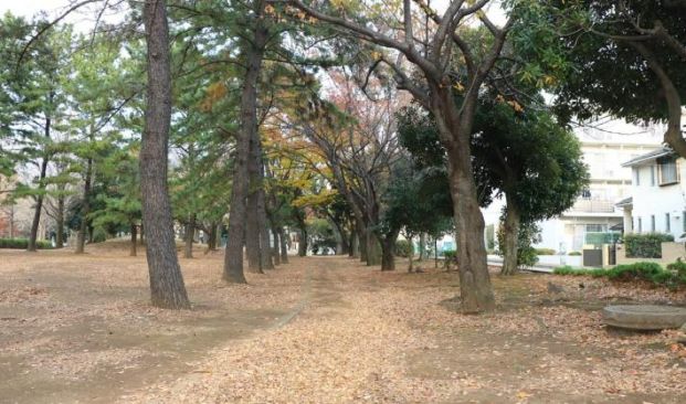 一本松公園の画像