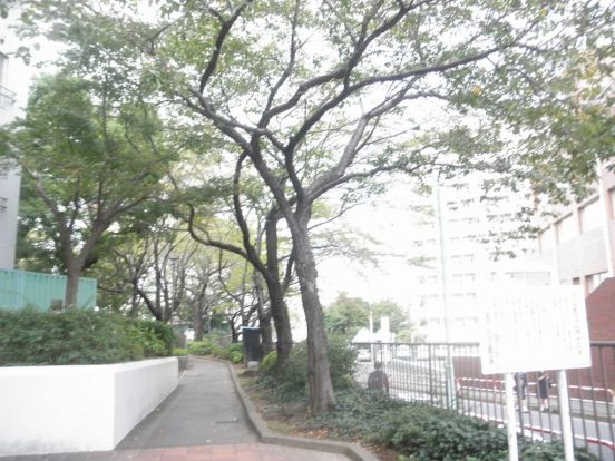 豊島区立駒込公園の画像