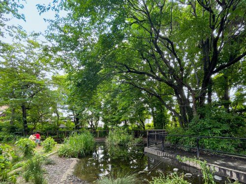 小鳥がさえずる公園の画像