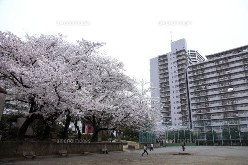 西大井広場公園の画像