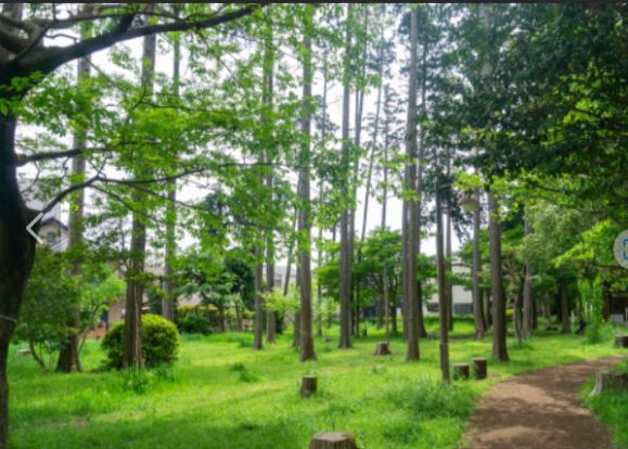 宇都宮記念公園みどりの森の画像