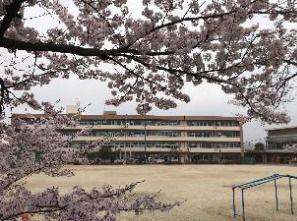 加須市立大桑小学校の画像