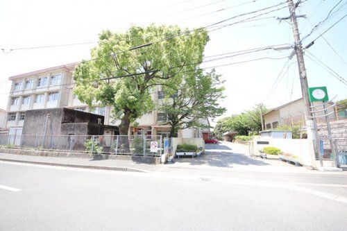 鹿児島市立桜丘中学校の画像