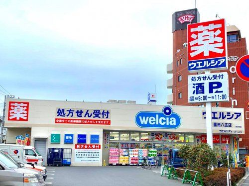 ウエルシア墨田八広店の画像