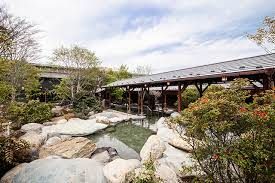 熊谷天然温泉　花湯スパリゾートの画像
