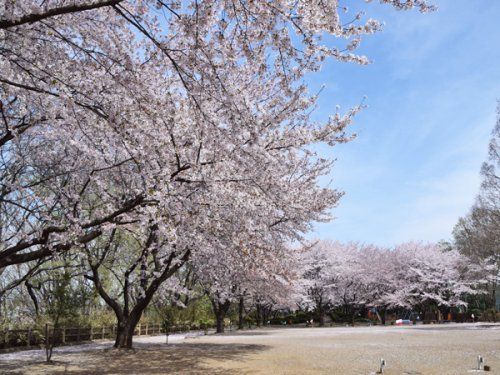 熊谷　駒形公園の画像