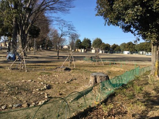 熊谷　別府第２公園の画像