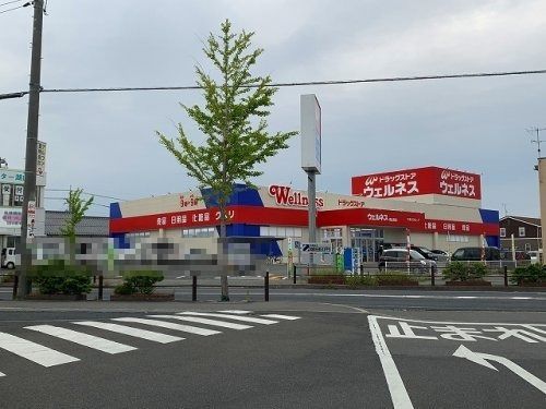 ドラッグストアウェルネス 湖山東店の画像