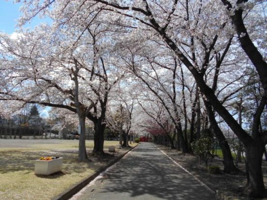 本庄城下公園の画像