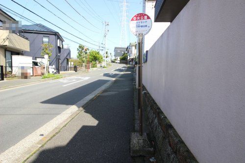 中央公園の画像