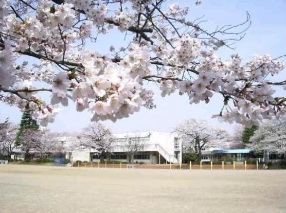 つくば市立桜南小学校の画像