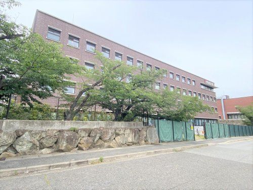 私立甲南大学岡本キャンパスの画像