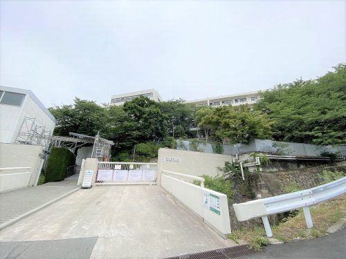 私立神戸薬科大学の画像