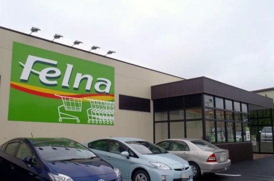 Felna(フェルナ) 金谷店の画像