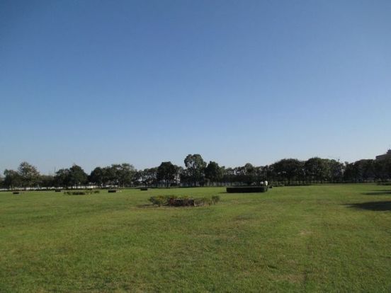 中川公園の画像