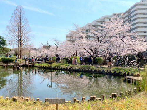 哲学堂公園の画像