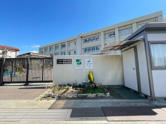 岸和田市立朝陽小学校の画像