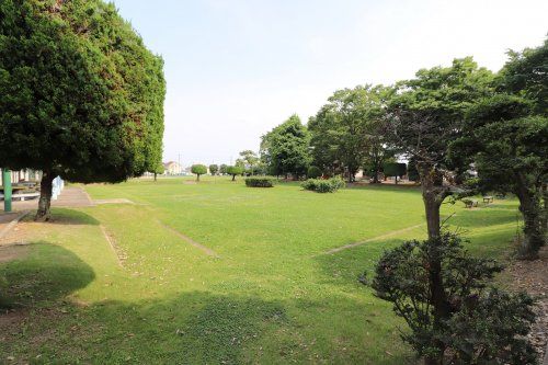 朝倉公園の画像