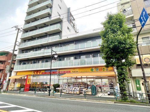 どらっぐぱぱす 江古田店の画像