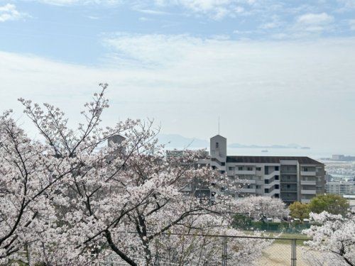 井口台公園の画像