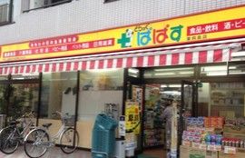 どらっぐぱぱす 東向島店の画像