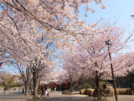 飛鳥山公園の画像