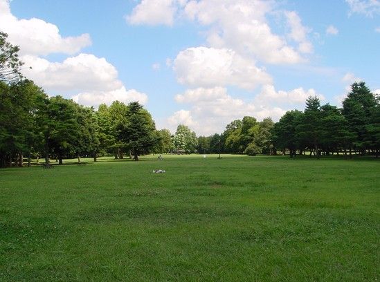  滝野川公園の画像