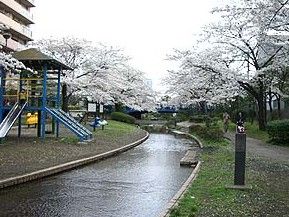 大横川親水公園の画像