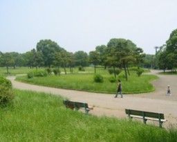 篠崎公園の画像