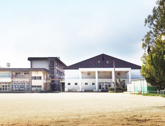 徳島市立千松小学校の画像